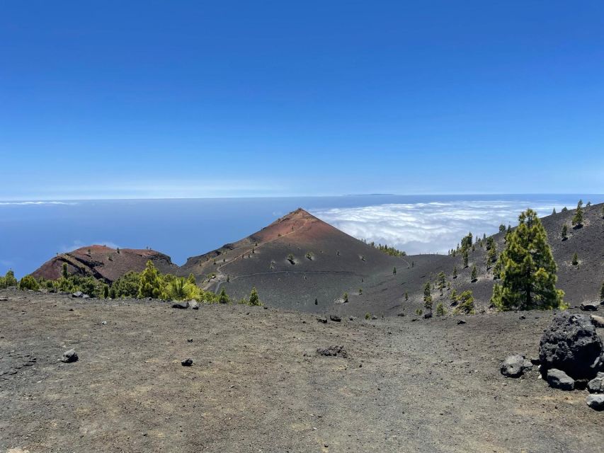 La Palma: Guided trekking tour to volcanoes south - Key points before you book