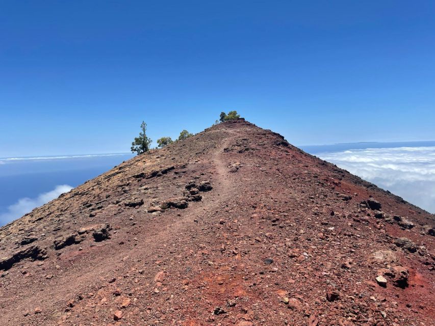 La Palma: Guided trekking tour to volcanoes south - Las Deseadas, the high point, and the long descent