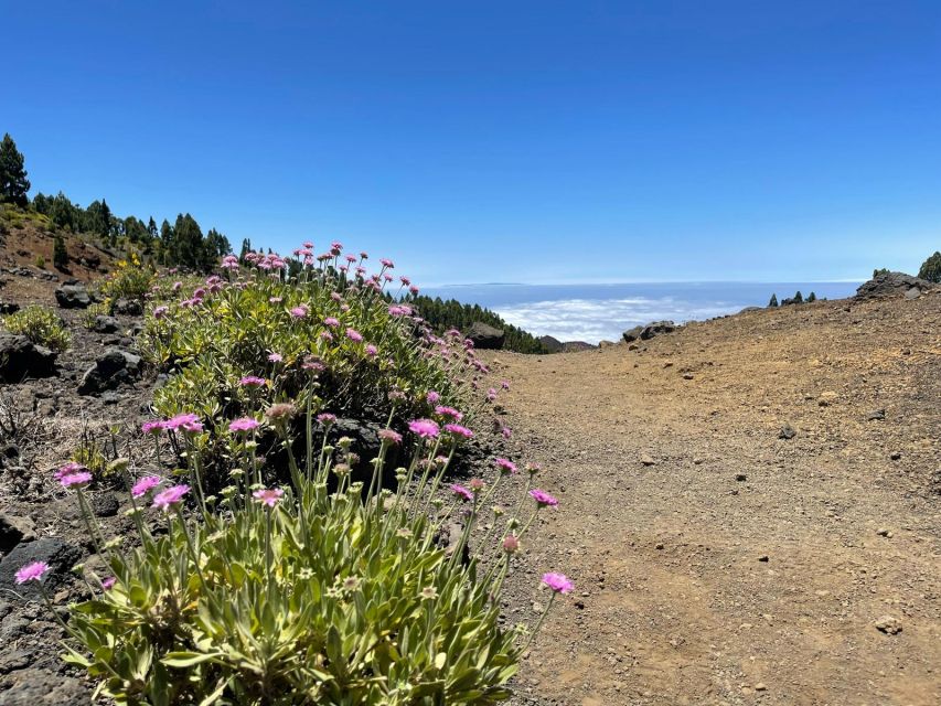 La Palma: Guided trekking tour to volcanoes south - What to pack for eight hours on the trail