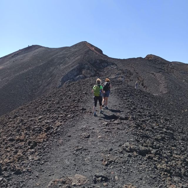 La Palma: Guided trekking tour to volcanoes south - How much value does the $50 price offer?