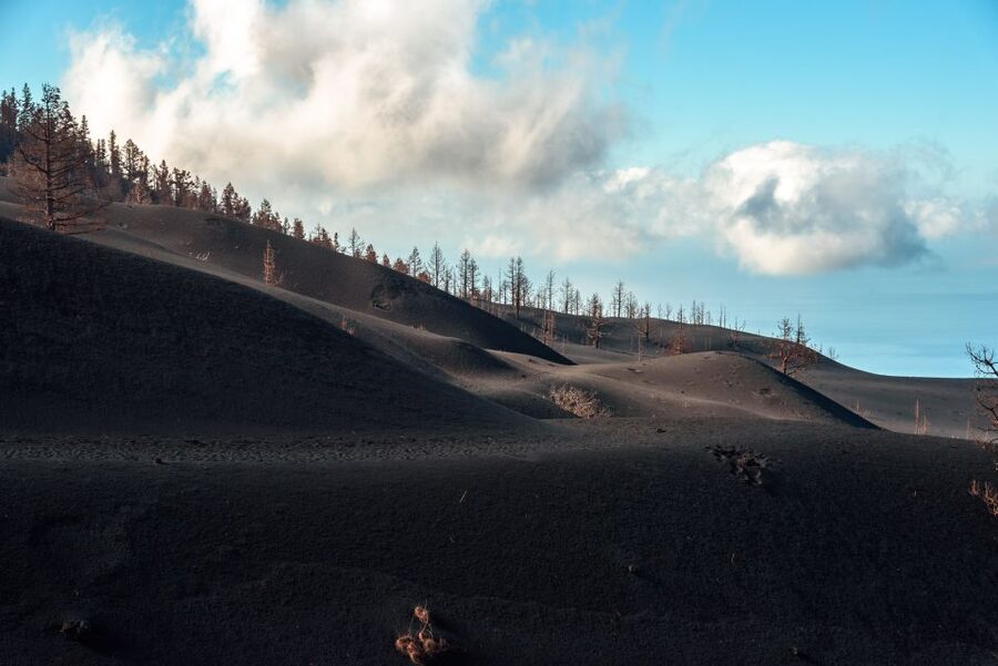 La Palma: Tajogaite Volcano Guided Trek - Is $45 good value?