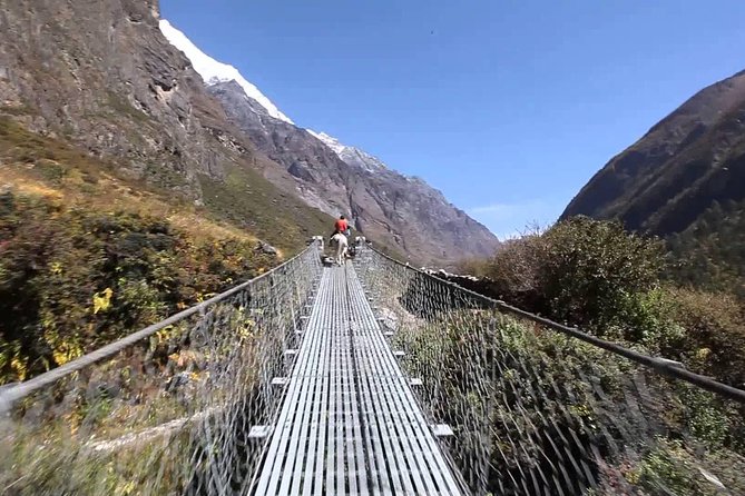 Langtang Valley Trek- 10 Days - Days 7 and 8: Retracing the trail to Syabru Besi
