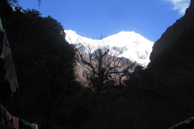 Langtang Valley Trek - Day 4: Lama Hotel to Langtang Village