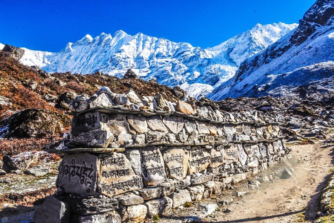 Langtang Valley Trek From Kathmandu - 8 Days - Forest trails from Syabru Bensi to Lama Hotel