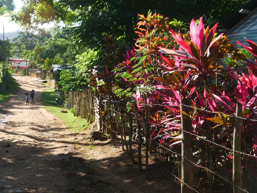 Las Terrenas: El Limón Waterfall Trekking Tour in Samana - Why the 8am start matters at El Limón