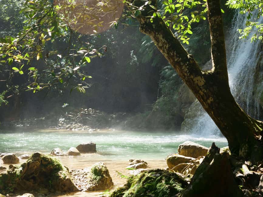 Las Terrenas: El Limón Waterfall Trekking Tour in Samana - The return walk and the shape of the morning
