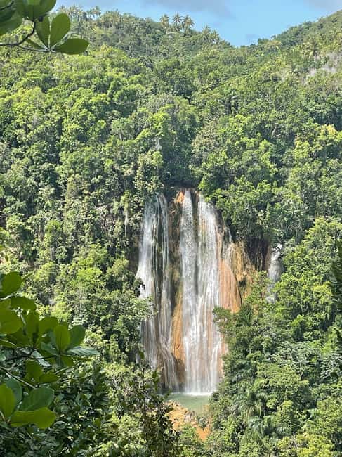 Las Terrenas: El Limón Waterfall Trekking Tour in Samana - The trail through cacao, coffee, and jungle