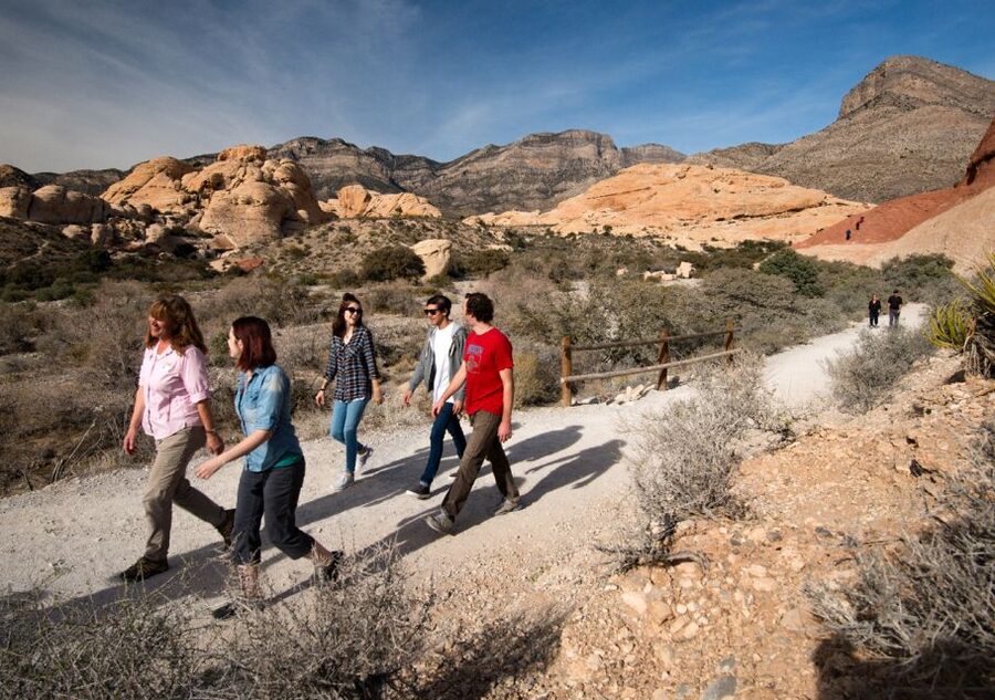 Las Vegas: Red Rock Canyon in an Adventure Tour Trekker - The Pink Jeep trekker keeps the outing simple