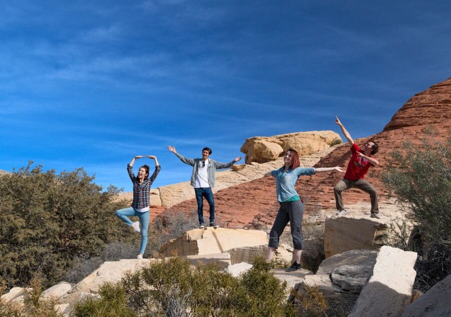 Las Vegas: Red Rock Canyon in an Adventure Tour Trekker - Red Springs and the desert’s living side