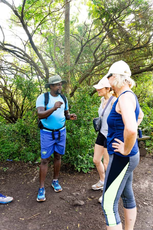Le Morne Brabant: UNESCO Mountain Hike & Local Guides - Who should book this hike