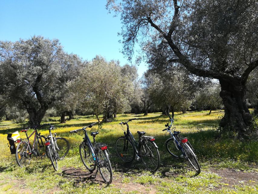Lecce: Bike Rental (City, Trekking, E-Bikes) - Cost and value for a one-day rental