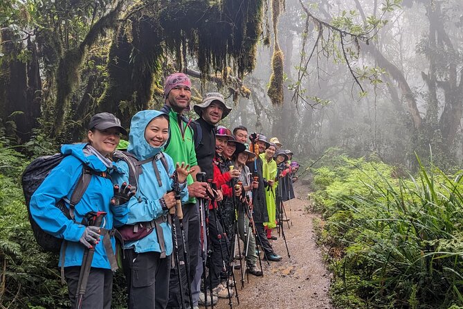 Lemosho Route 7 Days Trekking at Mount Kilimanjaro - Day one: Arusha to Big Tree Camp