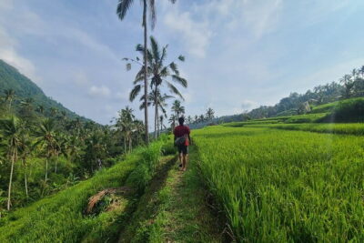 Lemukih Hidden Trekking Waterslide Sekumpul and Fiji Waterfall