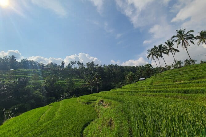 Lemukih Hidden Trekking Waterslide Sekumpul and Fiji Waterfall - Guides, safety, and the right level of fitness