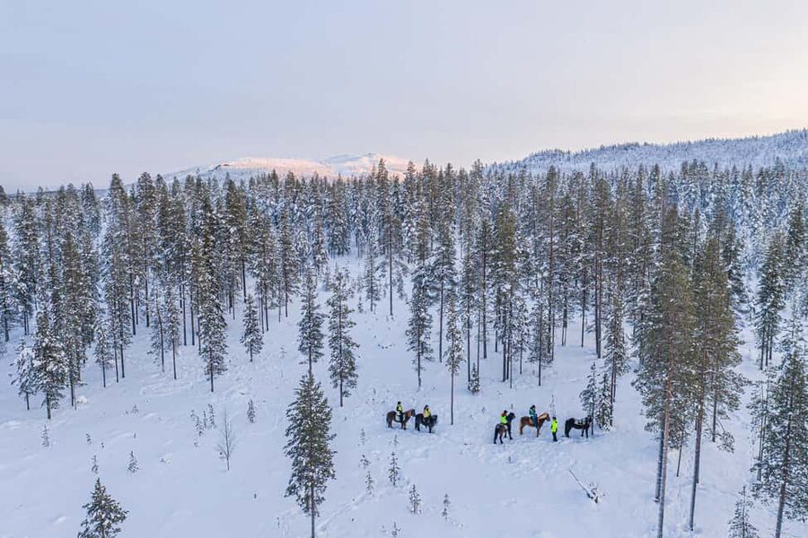 Levi: Riding Trek with Icelandic Horses - Riding Icelandic horses in the snowy country around Levi