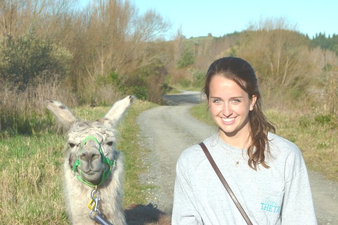 Llama Trek (Taster) - Kowhai River Valley and Native Woodland Tour - Planning your visit in Kaikoura