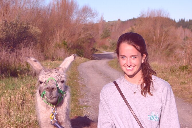 Llama Trek (Taster) - Kowhai River Valley and Native Woodland Tour - Protected woodland and constant bird sounds