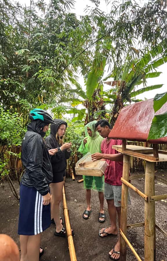 Lombok: Off-Road ATV Ride, Jungle Trek & Waterfall Escape - Private transport keeps the long day manageable