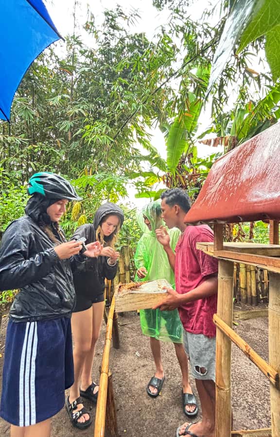 Lombok: Off-Road ATV Ride, Jungle Trek & Waterfall Escape - What the price includes at $90