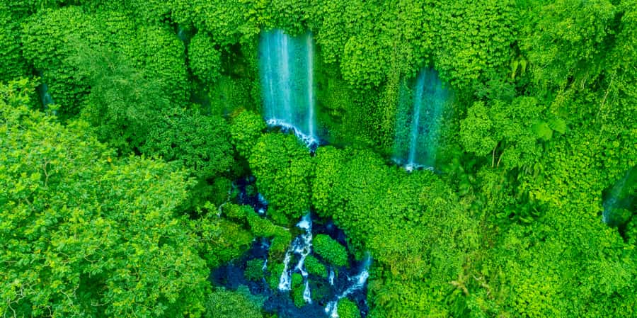 Lombok: Off-Road ATV Ride, Jungle Trek & Waterfall Escape - Rice fields, herbal plants, and the Bicycle Monument