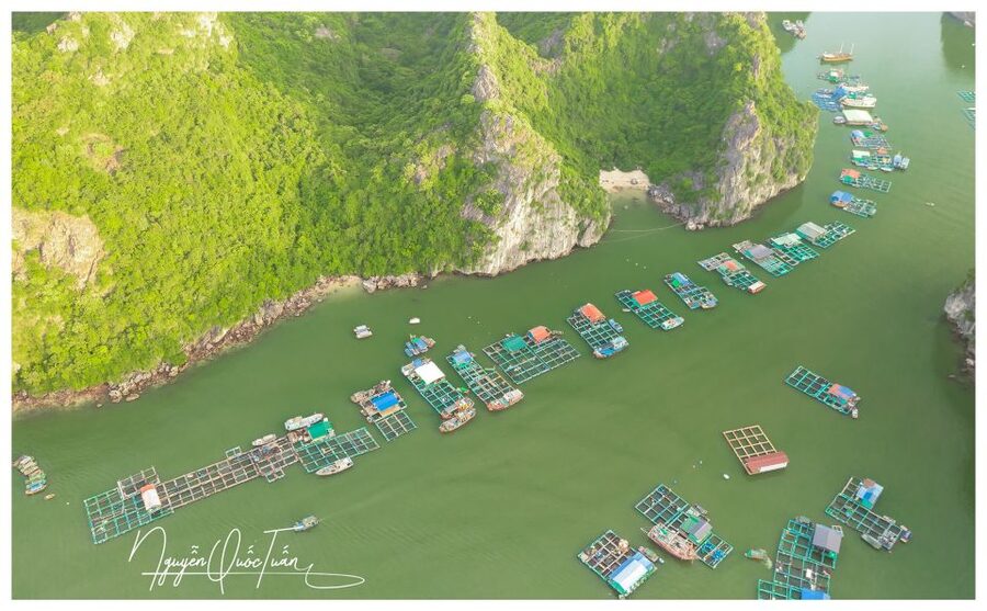 Long Trekking Catba national park, Lan ha bay full day trip - Key points at a glance