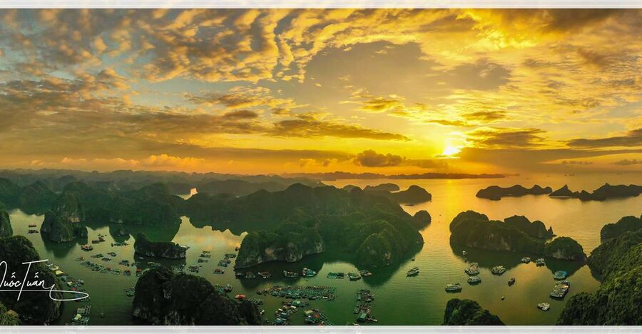 Long Trekking Catba national park, Lan ha bay full day trip - The forest route to Frog Pond