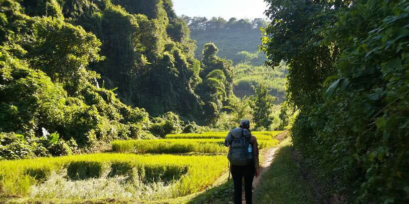 Luang Prabang: 3-Day Cultural Remote Trek With Homestay - How demanding is the walking?