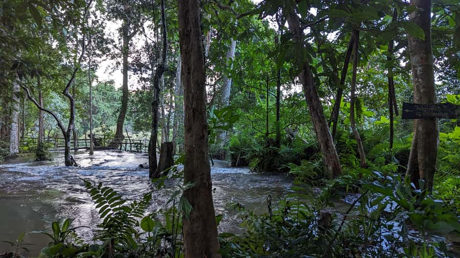 Luang Prabang: Full Day Trek to Kuang Si Waterfall & Village - Key points to know before you book