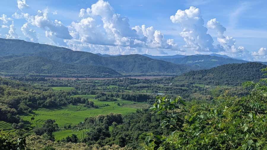 Luang Prabang: Full Day Trek to Kuang Si Waterfall & Village - Three to four hours through fields, orchards, and jungle