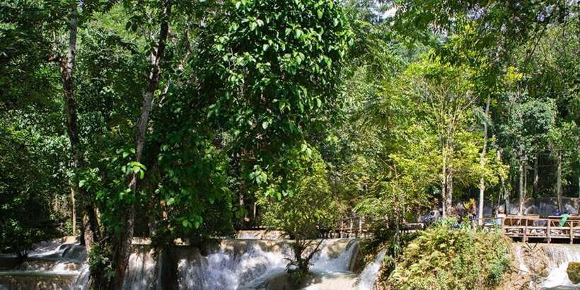 Luang Prabang Thin Pha Trail & Tad Sae Falls Trek - Who should choose the Thin Pha Trail