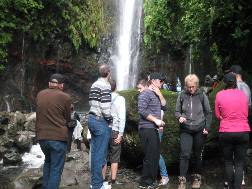 Madeira: Mountain Walk with Lagoon and Waterfalls - Key points to know before booking