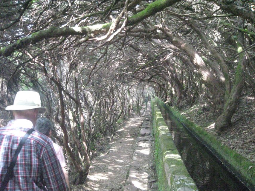Madeira: Mountain Walk with Lagoon and Waterfalls - Risco waterfall and the final approach