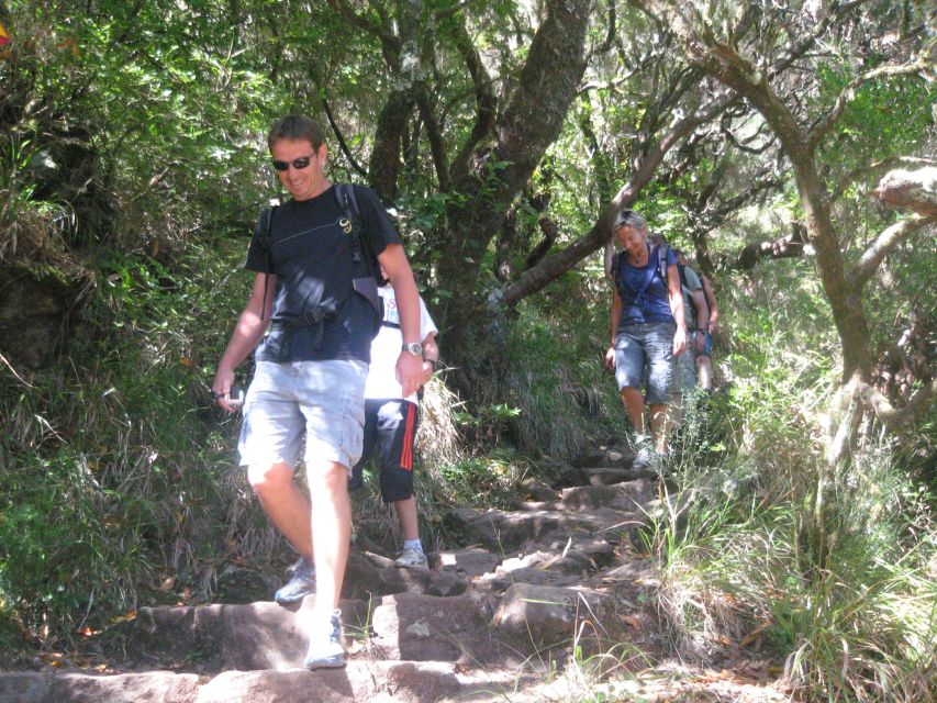 Madeira: Mountain Walk with Lagoon and Waterfalls - Group size, guiding, and the pace of the day