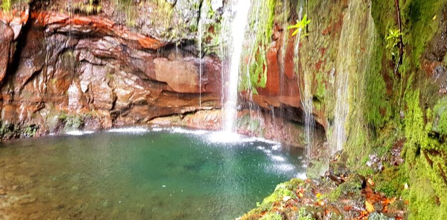 Madeira: Mountain Walk with Lagoon and Waterfalls - The ride into Madeira’s mountains