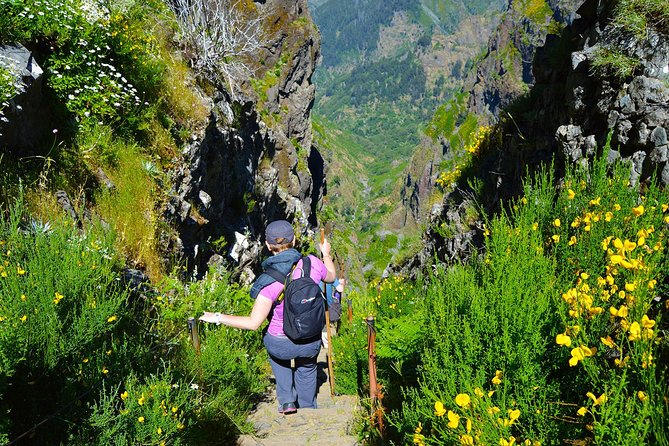 Madeira Peaks - Mountain Walk - Guides, timing, and the value of pickup