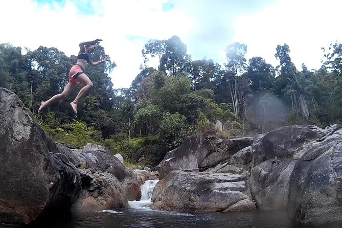 Magical River Trek - A Gentle Start Through Malaysian Rainforest