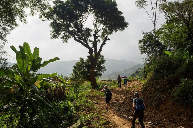Mai Chau - Pu Luong trekking 3 days 2 nights - The final walk from Ban Hieu toward Pho Doan