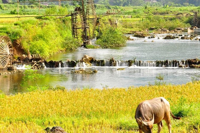 Mai Chau - Pu Luong trekking 3 days 2 nights - Private transport, group size, and practical comfort