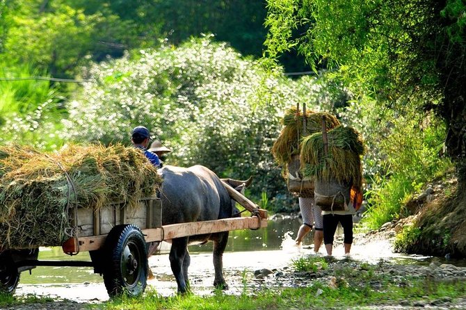 Mai Chau - Pu Luong trekking 3 days 2 nights - Who will get the most from this $514 trip