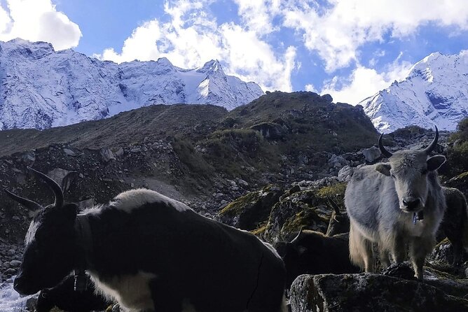 Manaslu Circuit Trek - Why the Manaslu Circuit feels different
