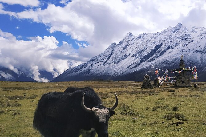 Manaslu Circuit Trek - Permits and transport remove major headaches