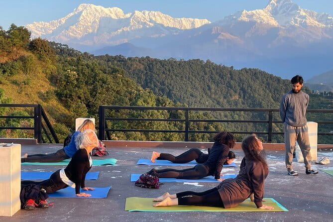 Mardi Himal Trek -5 Day Short Trek From Pokhara - Day 3: From forest to High Camp