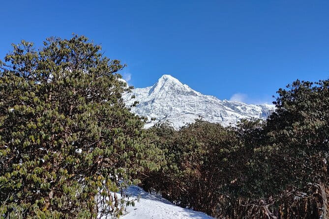 Mardi Himal Trek - A private trek with a guide from pickup to drop-off