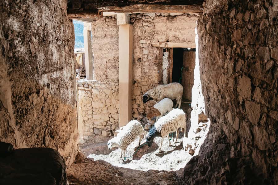 Marrakech: 2-Day Atlas Mountains Trek with Village Stay - Best seasons and the winter warning