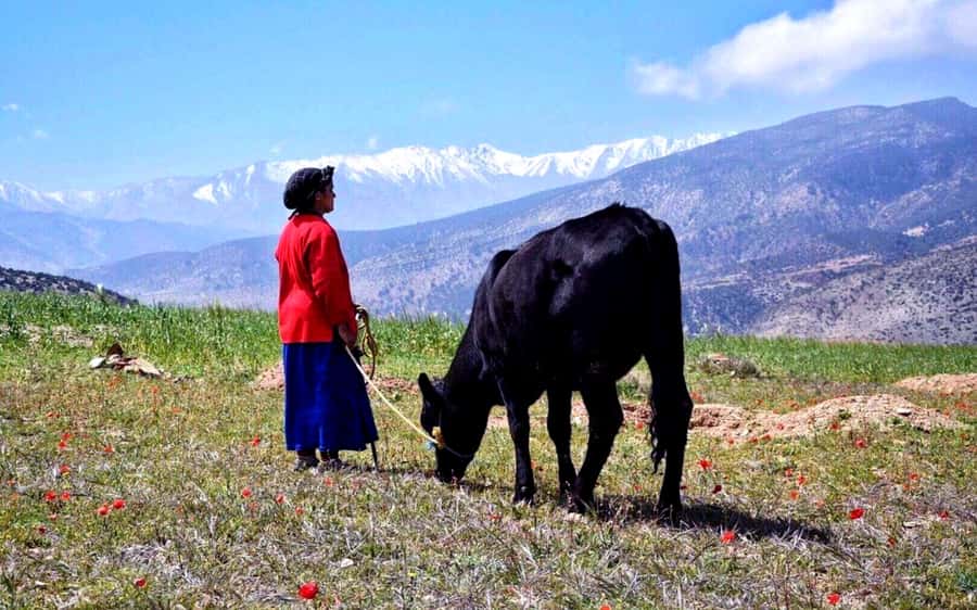 Marrakech: 2-Day Atlas Villages Trekking Tour - Tinmel, village roads, and the first walk