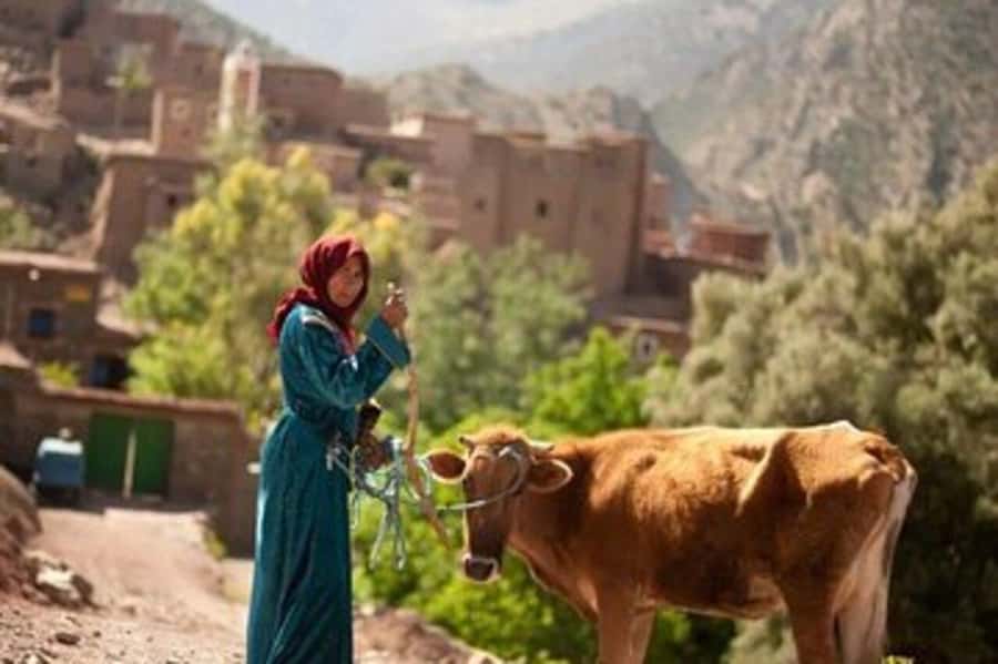 Marrakech: 2 Day Trek Atlas Mountains & Taoudja Summit 2724M - Lunch with a Berber family in Imlil