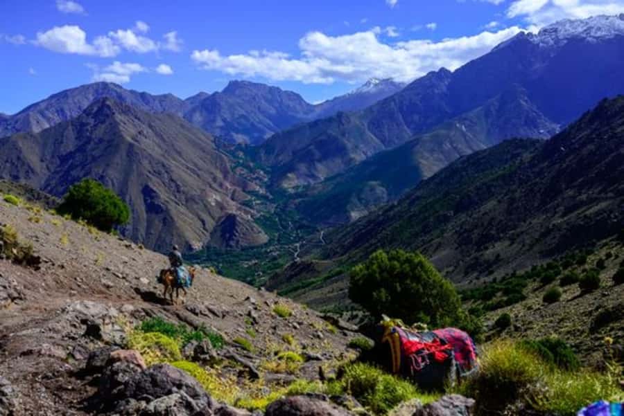 Marrakech: 3-Day High Atlas Mountains and Three Valleys Trek - Should you book the High Atlas three-valley trek?
