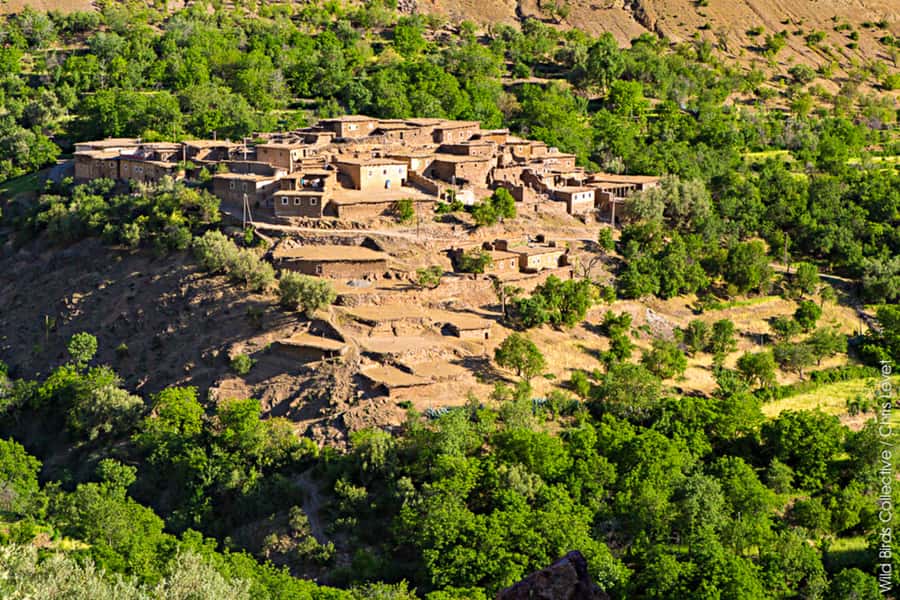 Marrakech: 3-Day High Atlas Mountains and Three Valleys Trek - Day 2: Tachdirt through Aguersiwal and Matat