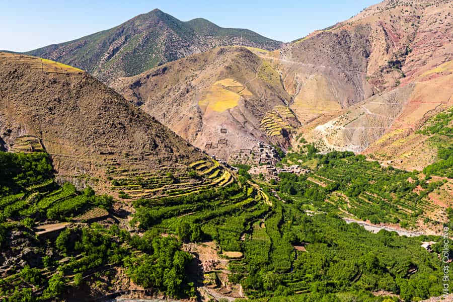 Marrakech: 3-Day High Atlas Mountains and Three Valleys Trek - Day 3: Waterfalls, Tizi Mazik, and the return to Imlil
