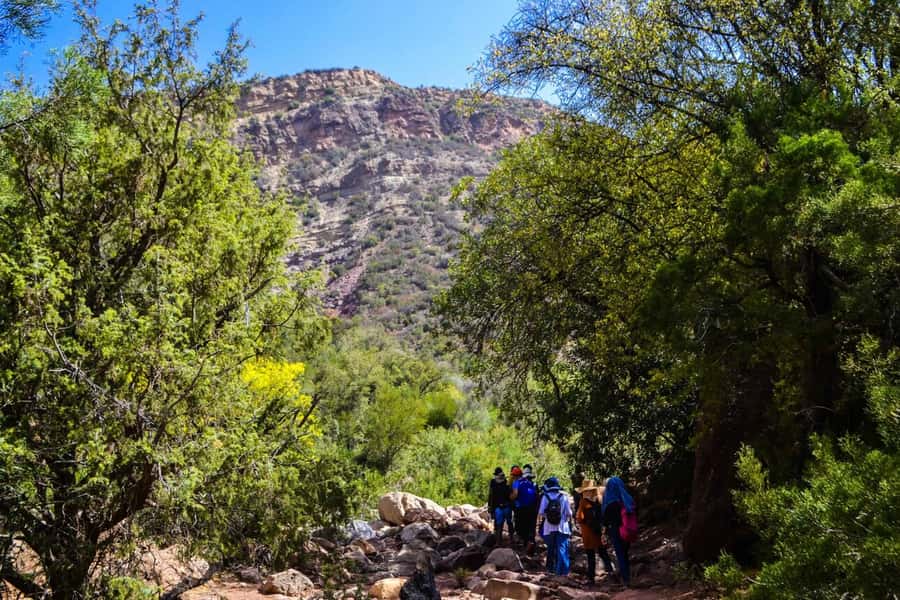 Marrakech: 3-Day High Atlas Mountains and Three Valleys Trek - The guesthouses: comfortable enough, never luxury